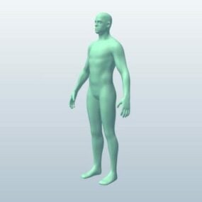 男性の体の彫刻 3D モデル