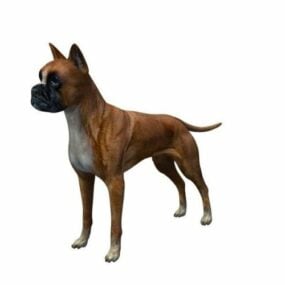 Modello 3d del cane boxer tedesco