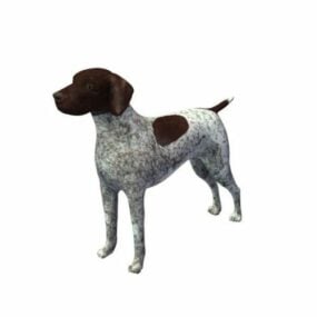 Tysk Pointer Dog 3d-modell