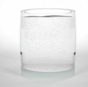 Common Glass Water 3d model