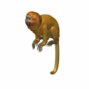 Animal Lion Tamarin Monkey דגם תלת מימד