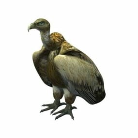 Modelo 3d do pássaro abutre dourado