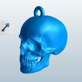 Cartoon Human Skull Colorful Decorative 3d model