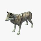 Příroda Šedý vlk