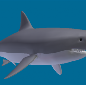 Weißes Hai-Tier-3D-Modell