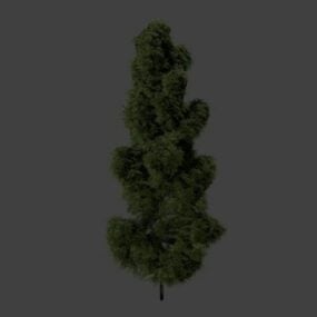 نموذج ثلاثي الأبعاد لشجرة الصنوبر الخضراء