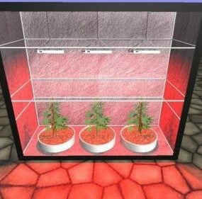 Mô hình hộp trồng cây 3d