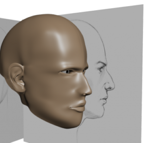 Human Man Head Sculpt 3d model