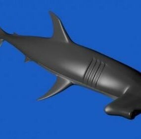 Hammerhead Sea Shark 3D-malli