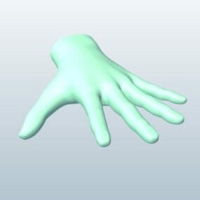 Model 3D ludzkiej dłoni