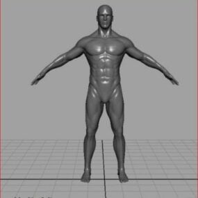 Детализированная 3d модель мужского тела