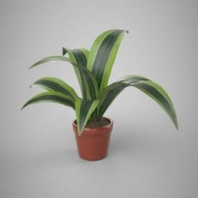 Pokojová rostlina v květináči 3D model