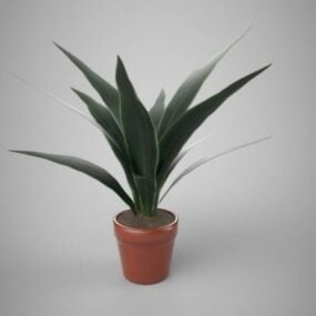 部屋の鉢植えの植物3Dモデル