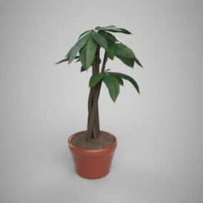 Modello 3d per piante da interni