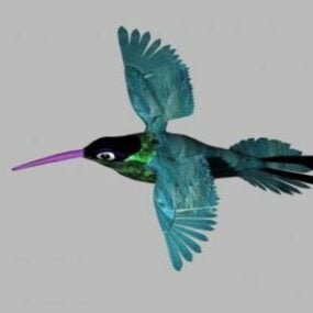 Modello 3d del colibrì selvaggio