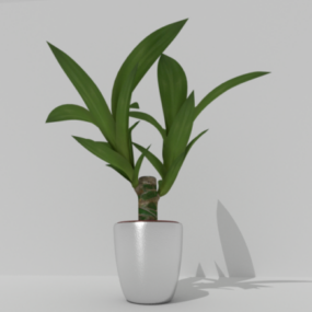 室内陶瓷盆栽植物3d模型