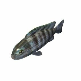 3д модель рыбы-цихлиды Кении