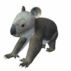 Koala Hayvanı 3d modeli