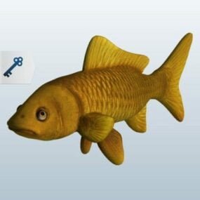 잉어 잉어 물고기 3d 모델