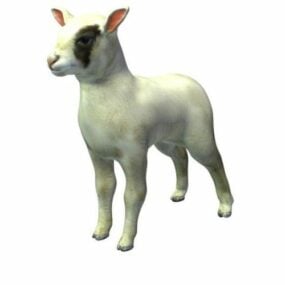 Chien d'agneau modèle 3D