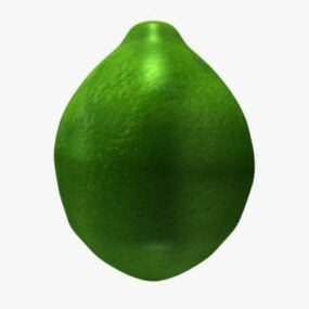نموذج فاكهة الليمون الأخضر ثلاثي الأبعاد