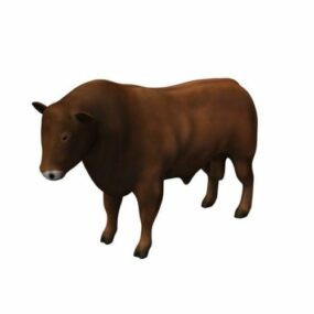 Limousin Cattle Animal 3d model