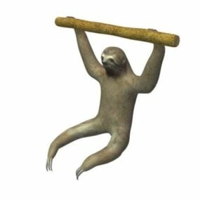 Linns Sloth Monkey 3d-modell