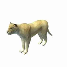 メスのライオン 3Dモデル