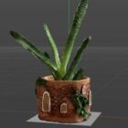 Little plant in decorative pot
