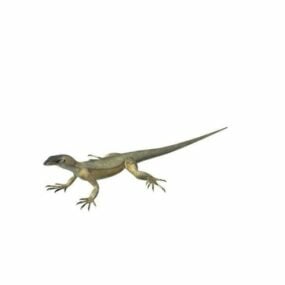 Lizard Animal Character 3d model