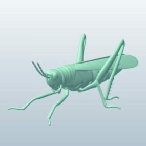 Locust 3d model