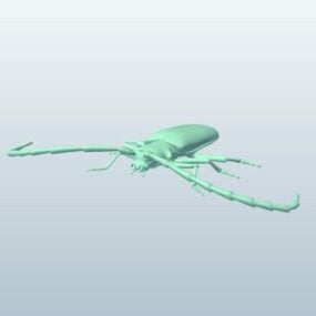 Modello 1d dello scarabeo longhorn V3