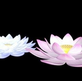 Beyaz Lotus Çiçeği 3d modeli