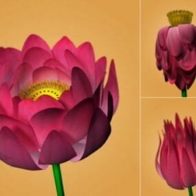 Lotus Flower Rigged 3d model
