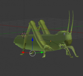 Grasshopper Lowpoly Rigged 3d model