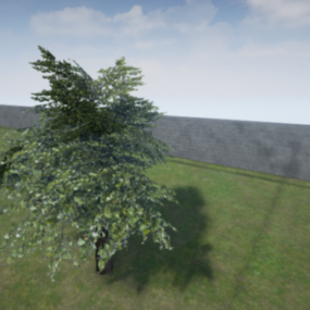 Lowpoly 橡树3d模型