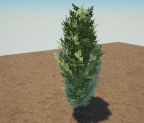 Tree Small Linden 3d model