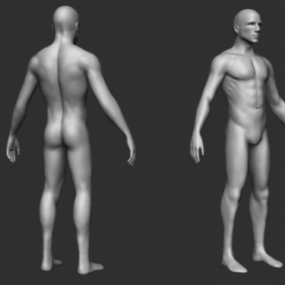Muscular Man Base Mesh 3d model