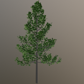 Mô hình 1d cây phong thiên nhiên V3