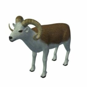 Mouton de Marco Polo modèle 3D