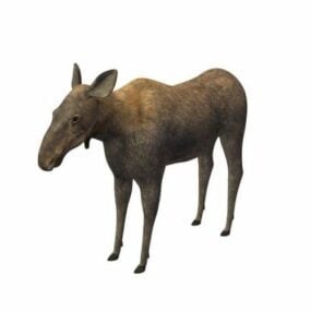 Moose Female Animal 3d model