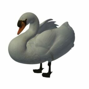مدل سه بعدی Mute Swan