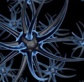 Model 3d Neuron Otak