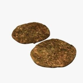Old Coins 3d-malli