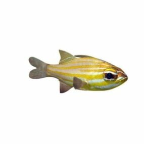 Kardinalfisch-Tier-3D-Modell
