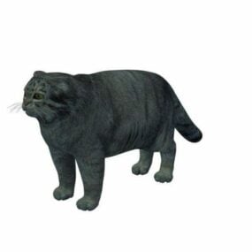 Model 3d Kewan Kucing Pallas