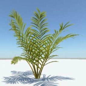 Simple Palm Tree 3d model