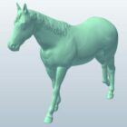 Palomino Horse Animal