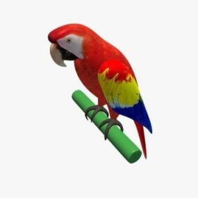 Lowpoly Model 3d Manuk Parrot