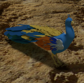 مدل سه بعدی بیوتی طاووس